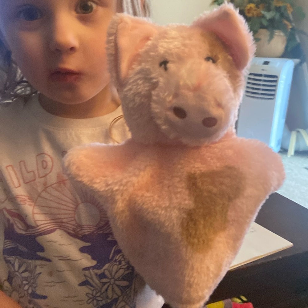 Children’s hand puppets